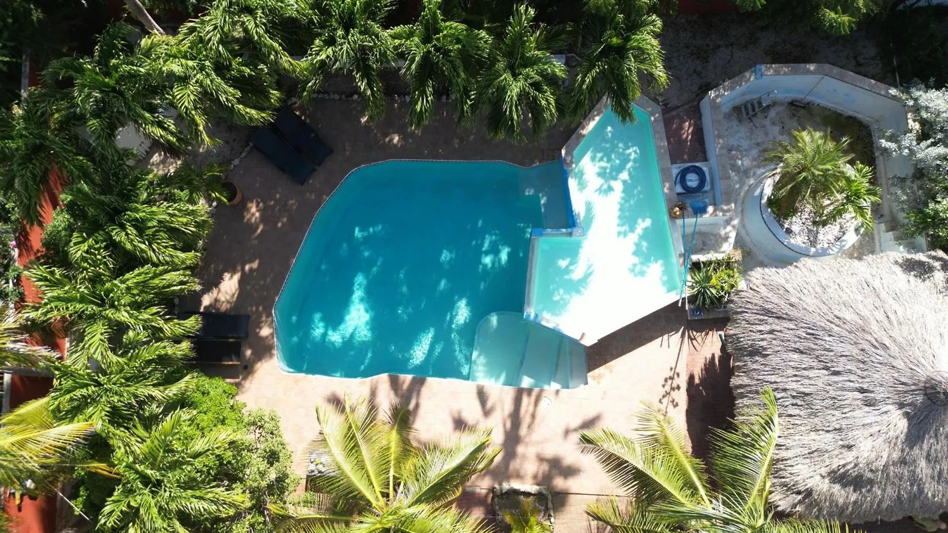 Bed & Breakfast Woodstock Palmresort Curacao Willemstad
